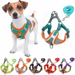 Dog Harness and Leash Set, Adjustable Harness with Reflective Light