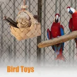 Bird Toys, with Storage Basket, Ball Toys, Branches for Parrots, Parakeets - Image 3